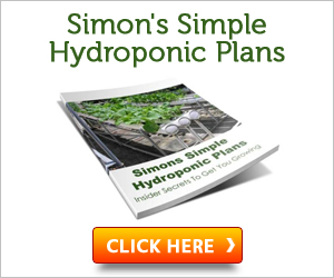 Simon’s Simple Hydroponics Plans