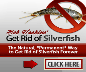 Ultimate Guide to Get Rid of Silverfish