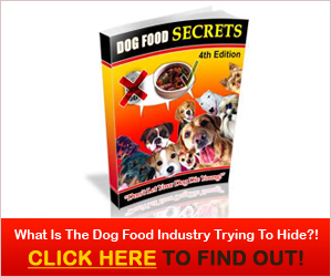 Dog Food Secrets