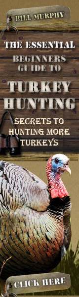 How to Hunt Turkey