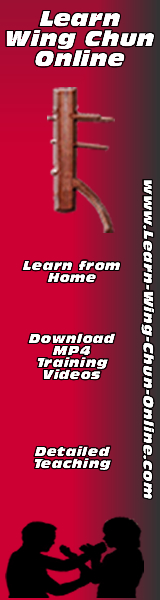 Learn Wing Chun Online