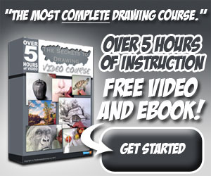The Secrets To Drawing Video Course