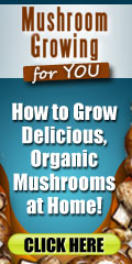 Grow Your Own Mushrooms